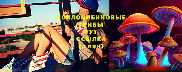 амф Богородск