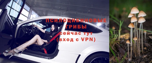 COCAINE Богородицк
