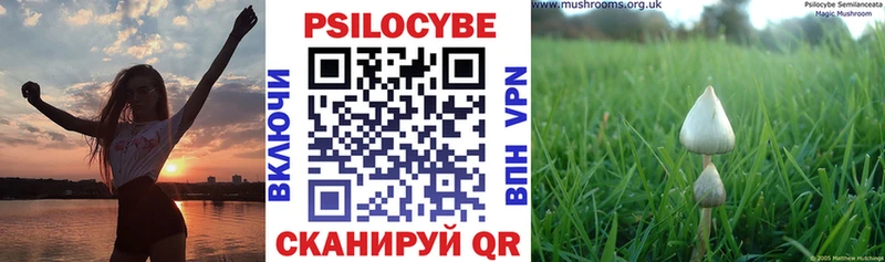Галлюциногенные грибы мицелий  Крым 